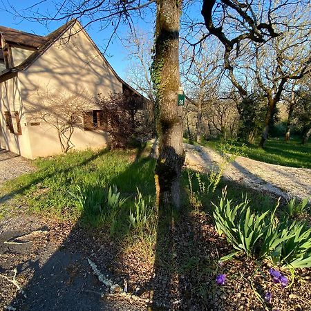 Villa Domaine de Gayfié Salvagnac-Cajarc Exterior foto